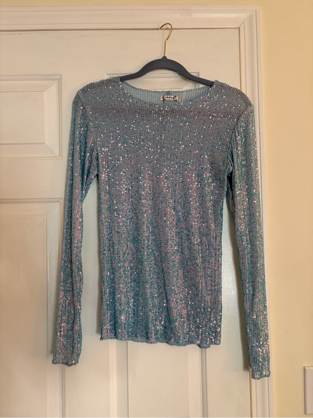 Free People Sequin Ribbed Long Sleeve Top in Light Blue